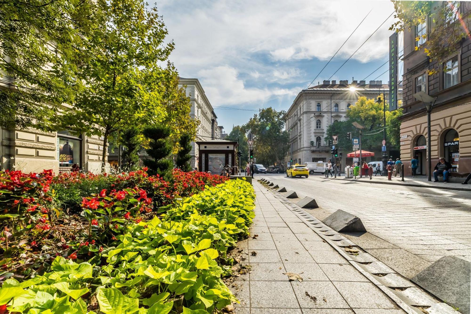 Cozy Little Flat In The City Center ブダペスト エクステリア 写真